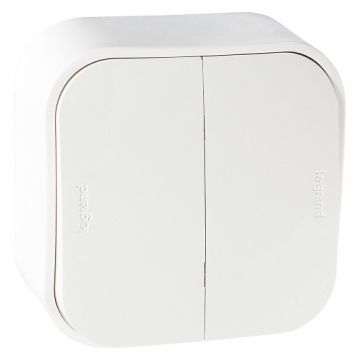 Выключатель накладной двухклавишный Legrand Quteo 782200 (белый)